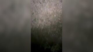 Nữa đêm thèm đụ đánh xe ra đường doggy em ny xinh dâm bắn ngập lồn tinh chảy như mưa