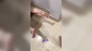 Djt Nhanh Cái Lồn Múp Của e Pita Bóp Vú Xuất Tinh vào lồn qauy video rồi đi làm