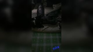 qua phòng bé 2k2 hiếu học
