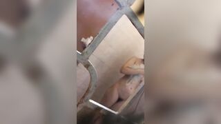 quay lén bé 2k2 hàng xóm tắm nhìn nứng muốn nổ cặc
