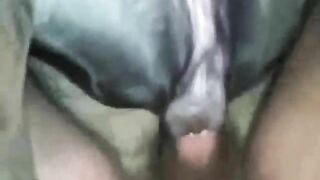 E cún
