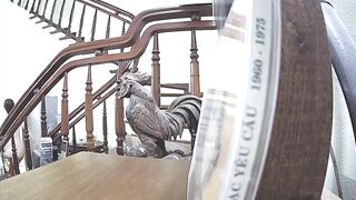 gái xinh ở nhà cởi chuồng đi lượn quanh nhà