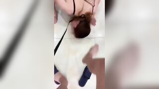 Huấn luyện chó cái uống nước đái trên sàn nhà
