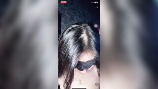 Yylive Bé_mèo