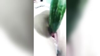 em dưa leo