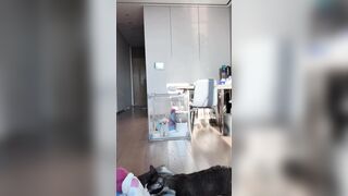 Em teen mình dây TQ livetream mà mặc quần rộng quá lộ cả bím mà k hề biết