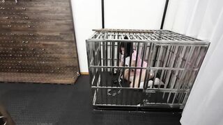 Bạo dâm huấn luyện em teen xinh dâm nhốt vào chuồng chó bắt làm con đĩ chó dâm đãng 3