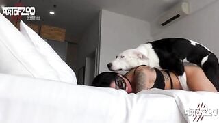 Máy dập 4 chân