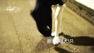 Nữa đêm dắt salve loli ra đường cởi đồ show hàng public đái luôn trên đường siêu dâm