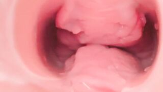 Pussy inside cam