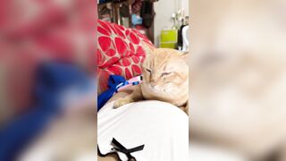 ngơ ngơ ngác ngác!