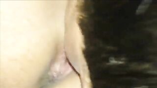 Súc vật a họ, Nửa đêm Mò lồn rậm lông e họ qua chơi Bú Lồn quay video