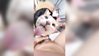 Em người yêu loli 2k5 tập bú cu
