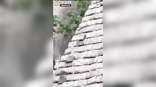 quay lén 2 em học sinh lén địt nhau ở góc trường