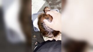 Đưa em ghệ hs dâm dáng nuột xinh dâm ra đường bú cu địt public trên xe lúc nữa đêm p2