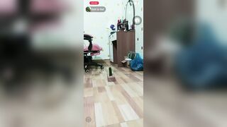 Đêm khuya chị gái máy bay live thủ dâm với dưa leo cho bớt nứng lồn