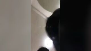 Loạn luân anh trai đi công chuyện, em chồng liền đưa chị dâu vào toilet đụ.