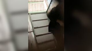 Quay lén em hàng xóm rau quê miền tây dáng cực ngon khảo thân đi tắm
