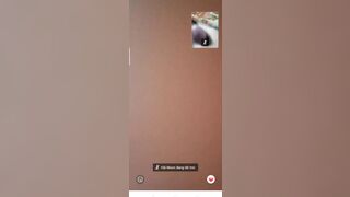 Call video móc cùng với e rau non Hải Moon hàng học sinh non tơ cực phẩm p3