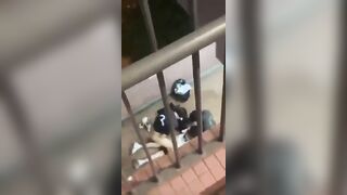2 bạn nam đụ 1 bạn gái giữa đường tất cả đều là học sinh, tuổi trẻ giờ thích là đụ.