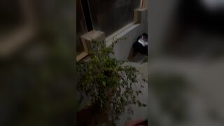anh đang xem Harry Potter mà em cứ nghịch chim làm anh sướng quá - phần 1