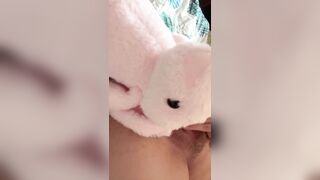E học sinh cho thỏ bông hôn bướm