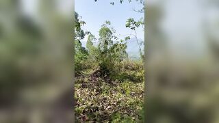 Làm tình ngoài trời khi đi dã ngoại cực kỳ táo bạo