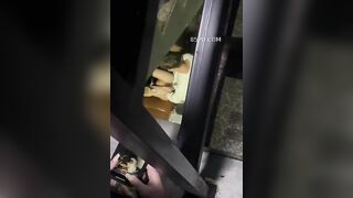 A RỂ ĐỊT NHAU VỚI E VỢ, Ở CẦU THANG , NÀO NGỜ BỊ HÀNG XÓM, PHÁT HIỆN