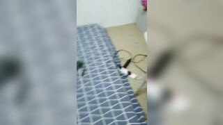 Anh trai về quê còn mỗi vợ ở lại với thằng em rể mất dạy