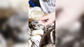 Cách chị gái dạy mấy em trai bú lồn bạn gái thế nào cho cực sướng.