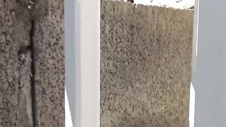 Súc vật Thanh niên, Theo dõi GVCN phát hiện đi đái bậy lồn rậm