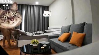 Clip Sex Xuất tinh dầy bím em học sinh đến mức chảy ra ngoài ghế