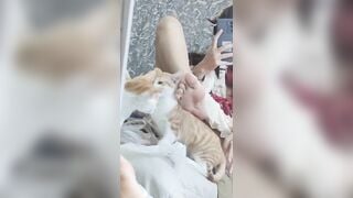 Con mèo con đang tìm cá khô nhỏ của nó, bị tôi nhét vào cái lổ nhỏ rồi~~