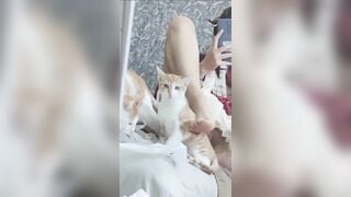 Đưa lồn cho mèo liếm
