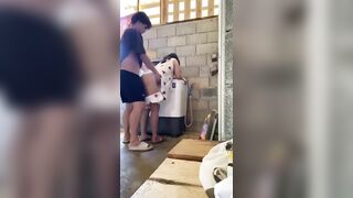 Chuẩn bị giặc đồ em họ qua chơi móc cặc ra xin đụ, trong cơn nứng chị gái đành chiều.
