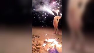 Độc lạ em gái dán pháo hoa vào dú rồi đốt