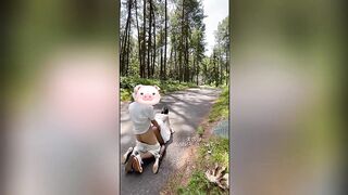 Sự tương phản cực độ_ Chó cái bị phơi bày trong công viên, tạo dáng với tất đen và nú