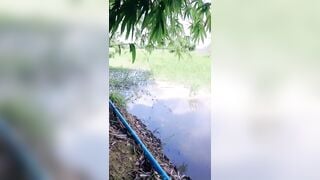 Gạ chị hàng xóm cho xem vú lồn ở ngoài đồng tý thì địt được