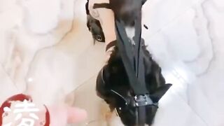 Bé Cún Nhà Tui