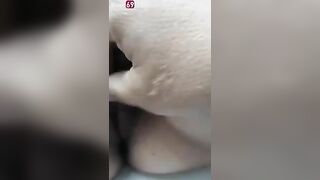 Sex viet