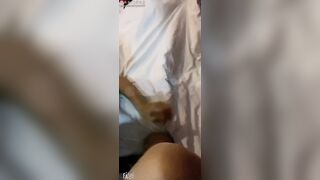 Bịt mắt địt nhau cả đêm với e teen xinh dâm thích làm slave làm em sướng mê rên rỉ #5