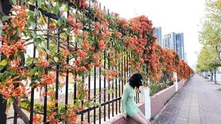 Lại tiếp tục sêri em gái khoe vú đi dạo ngoài đường