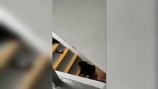 Quay lén em gái đụ nhau giữa cầu thang bộ của chung cư