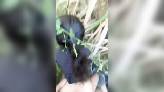 Anh họ biến thái dắt em gái 16 tuổi vào bụi vắng để đụ.