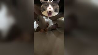 bé 2k7 nhỏ nhắn lần nào gặp cũng bị em hút sạch tinh trùng - phần 6