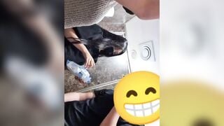 Đi chơi cùng 2em b thân xinh dâm r dắt nhau vào nvs bắt các e bú cu cởi áo bóp vú em
