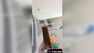 Kéo bồ dâm mới làm về vào chịch