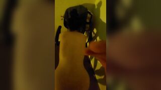 Đi học thêm, Gạ E sinh viên về nhà Doggy lút cán djt quay video