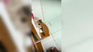 Thanh niên đi chơi cave mbbg mà mới nhún vài cái ra mẹ rồi