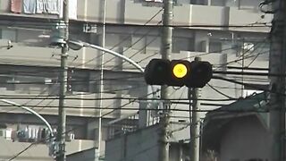 TRA TẤN GÁI NHẬT CLASSIC 95